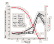 diauxic shift