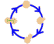 yeast cell cycle