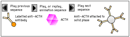 ACTH Key