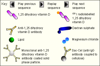 1,25 dihydroxy vitamin D Key