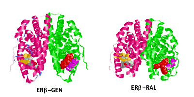 ERb_GEN-RAL