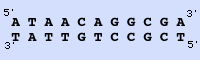BSeq