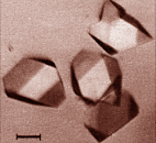 1dh crystals