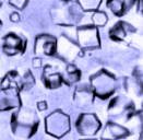 synthethase crystals