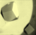 phosphoribulokinase crystals