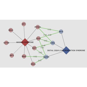 ODCs - Connections between rare diseases through shared genes and protein interactions